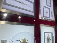 -上海昆虫博物馆