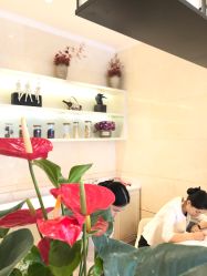 点击看大图 -昆明梦想医疗美容医院