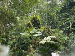 -深圳仙湖植物园