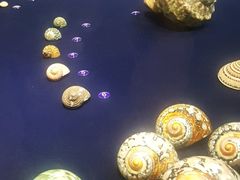-青岛贝壳博物馆