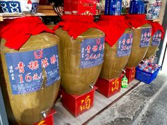 -德禄酸奶(莫家街店)