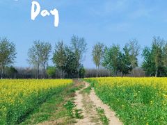 -汉长安城未央宫国家考古遗址公园