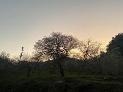 -广州市石门国家森林公园