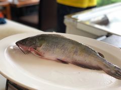 -老刘生态大鱼坊铁锅炖鱼(赛马场店)