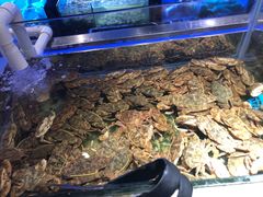 -V-ONE西雅图海鲜自助餐厅(仓山万达广场店)