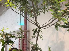 -喜茶(珠海华发商都店)