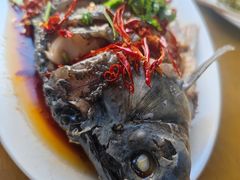 -微山岛春天里酒家