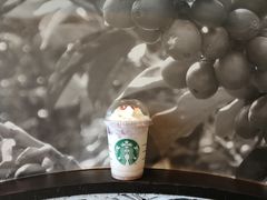 童趣三色杯-星巴克(南宁民歌湖店)