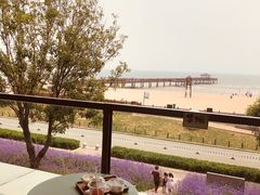 店内环境-猫的天空之城概念书店(北戴河蔚蓝海岸店)