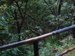 -九龙潭景区