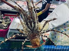 -三亚新鸿港水果一级批发市场