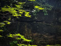 -龙门涧景区