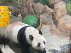 -南宁市动物园