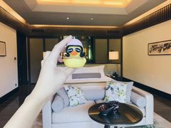 -广州从化都喜泰丽度假温泉酒店