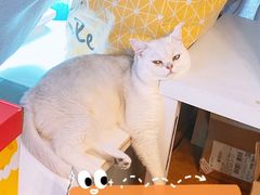 -美迦爱-牙专科·兔科·骨科诊疗中心(北苑店)