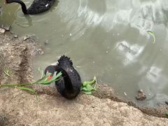 -哈尔滨北方森林动物园