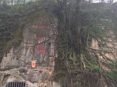 iphone_upload_pic-黄葛古道