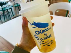 -贝林大翅鲸简餐厅(国家海洋博物馆店)