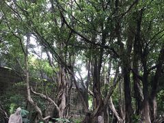 -船政文化景区-罗星塔公园