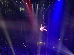 -珠海横琴长隆《卡卡虎奇遇记》