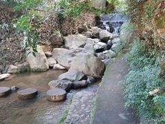 -藏龙百瀑风景区