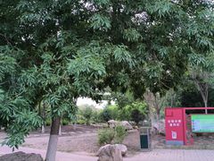 -大港湿地公园