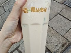 -猫的魔法密林(衣裳街店)