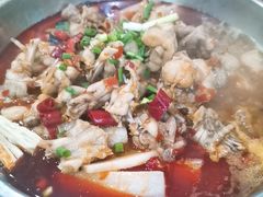 -专业跳跳蛙·彭彭老铺(步行街店)