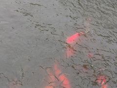 -西湖天地