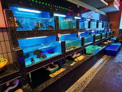 水产区-王庄阿咪海鲜大排档(象园店)