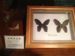 15-上海大自然野生昆虫馆