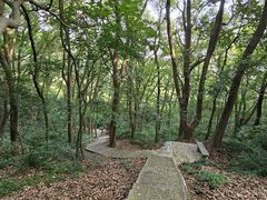 -上海佘山国家森林公园天马山园