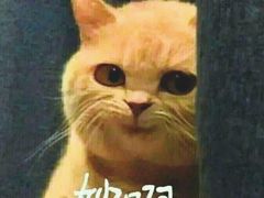 -巧云大馄饨(南阴阳营总店)