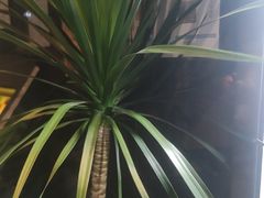 -唐宫足道·SPA·住宿24H会所(木渎店)