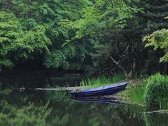 -上海共青森林公园