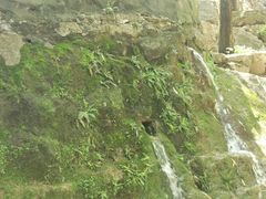 -浮来山风景区