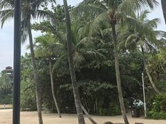 -巴拉湾海滩