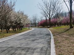 -江苏三台山国家森林公园