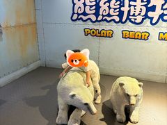 -海合安武汉极地海洋公园