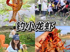 -上海山野camping·户外天幕烧烤·团建拓展营地