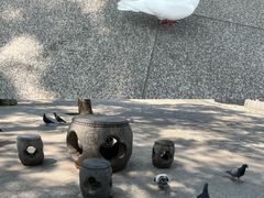 -宝通禅寺