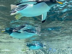 -成都浩海立方海洋公园