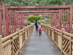 -神光山国家森林公园