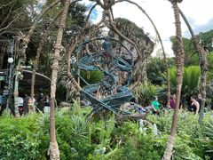 -奥兰多迪士尼动物王国乐园