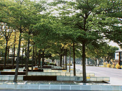 -白鹭洲公园