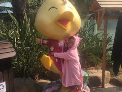 -厦门日月谷温泉渡假村