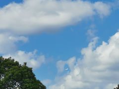 -小义乌砂锅拉面(海事共享区店)