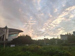 -四川大学(望江校区)
