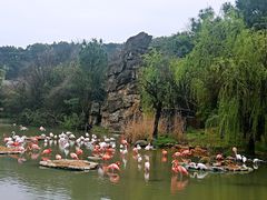 景点-宁波野生动物园