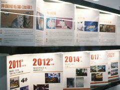 -喵园·猫主题咖啡厅·撸猫·猫咖(国贸店)